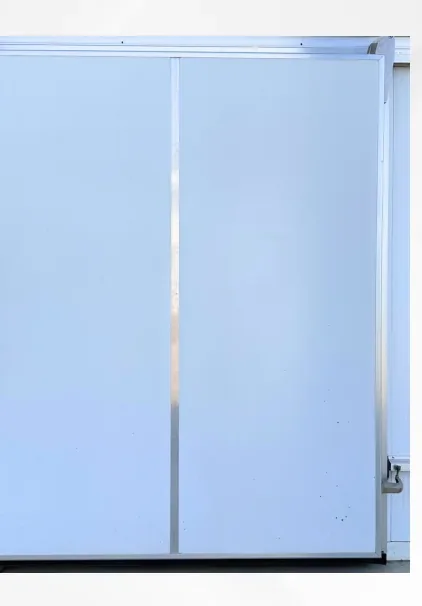 Eshik F9